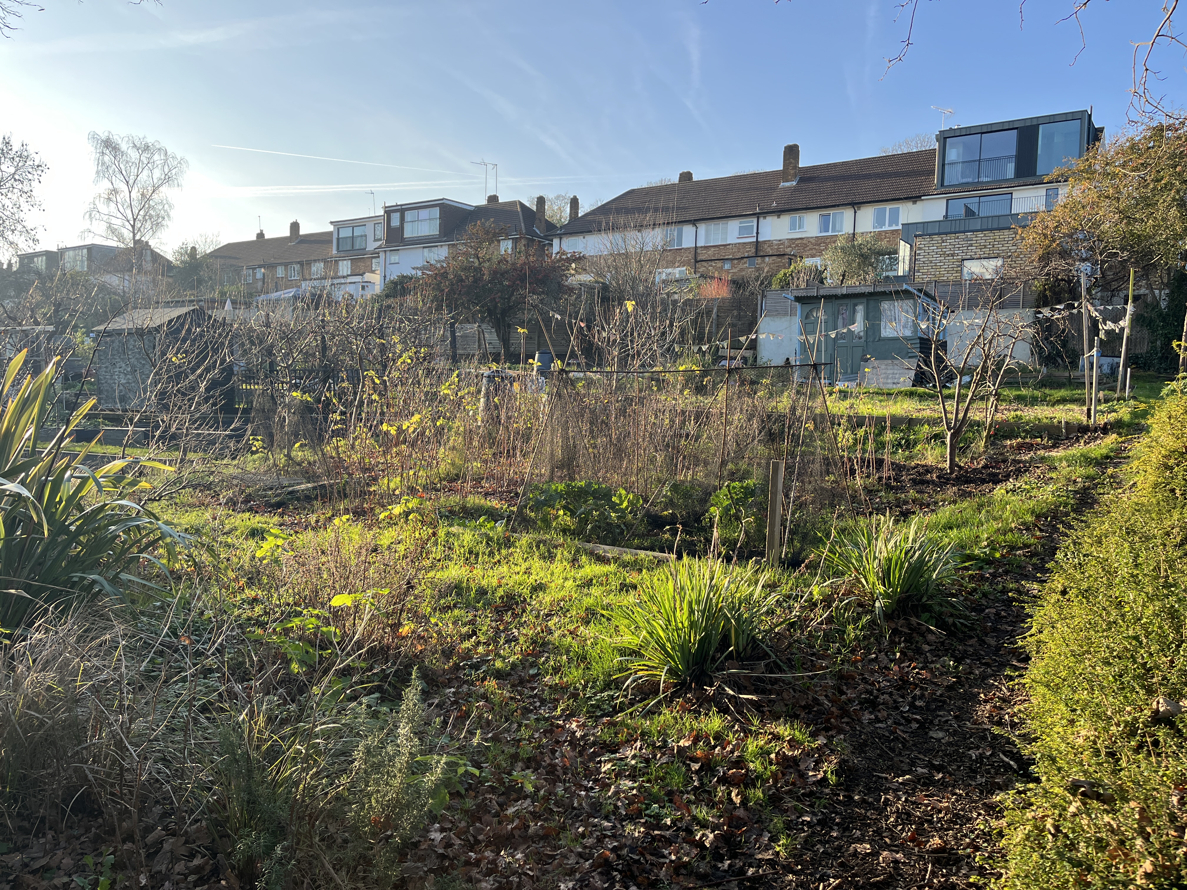 Plot 30 at Grove Lodge Meadow
