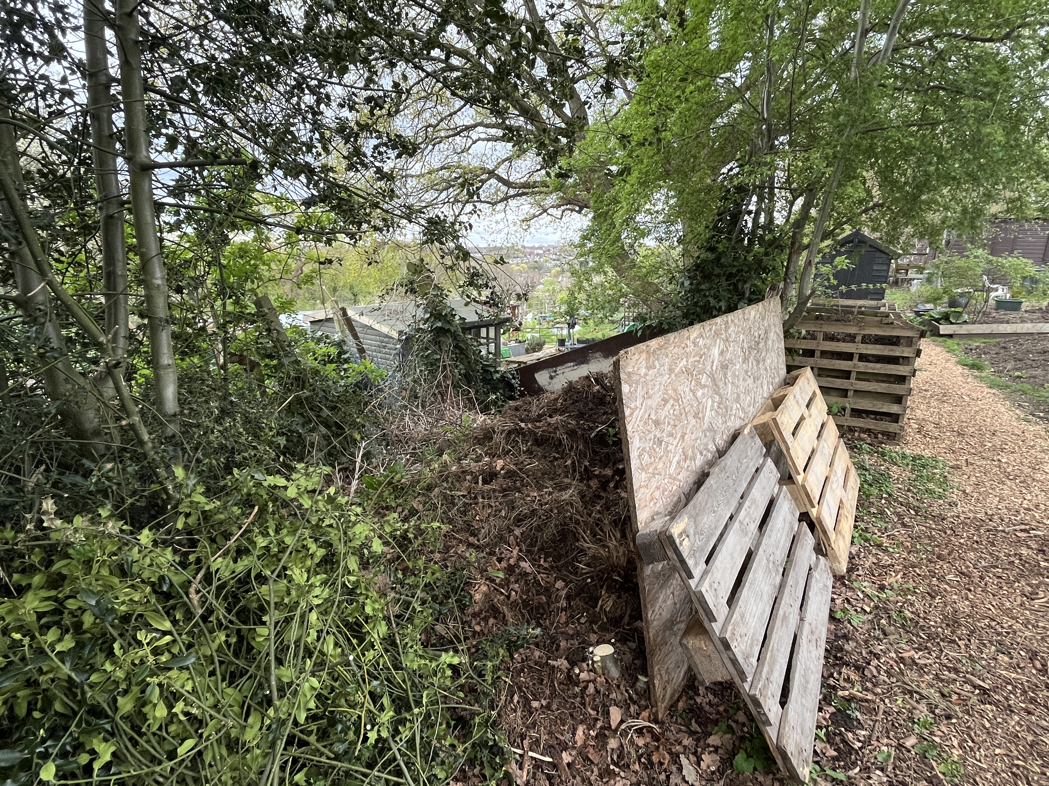 The existing heap by the shed