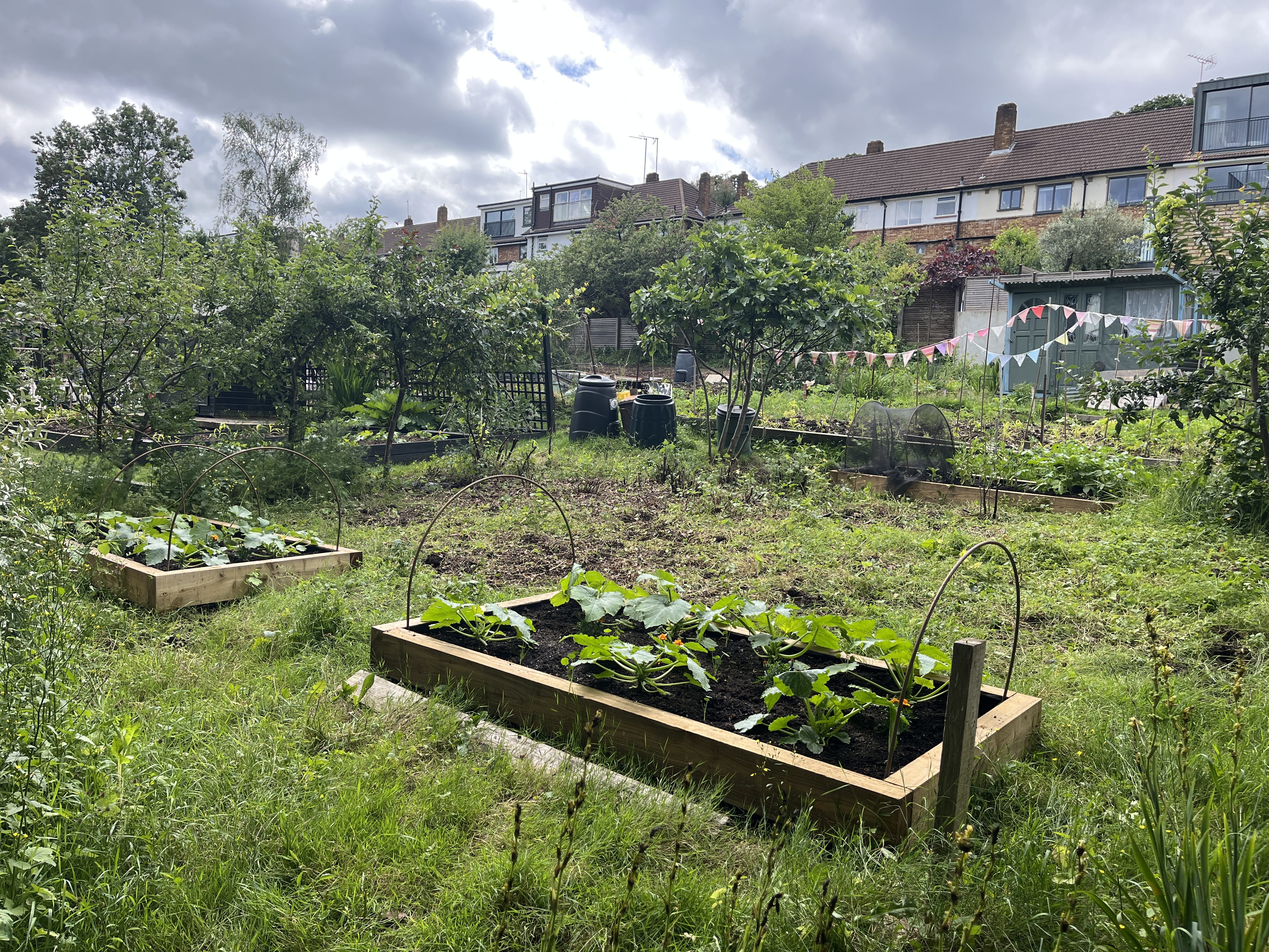 The cleared plot