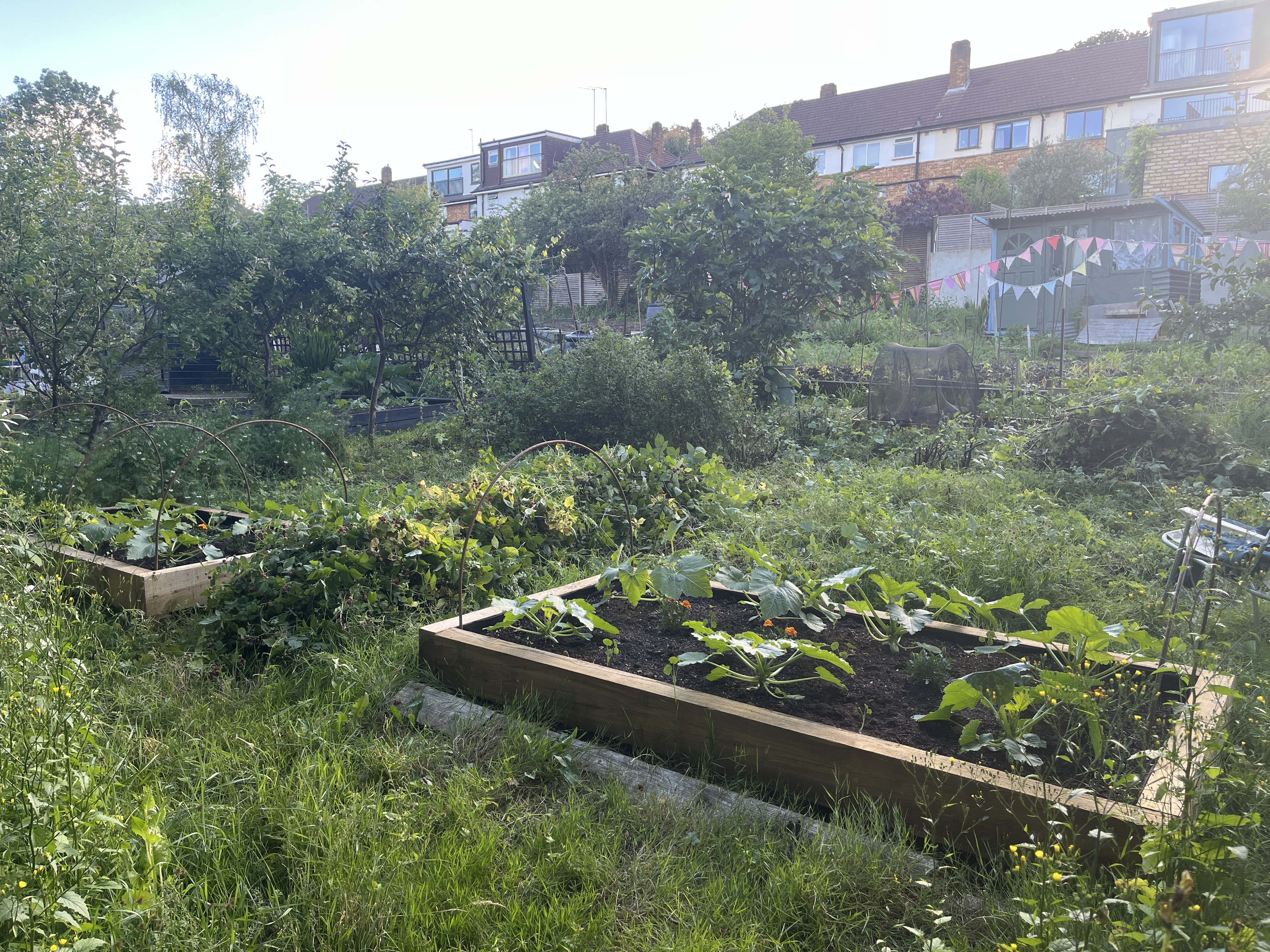 Half way through clearing the mid-section