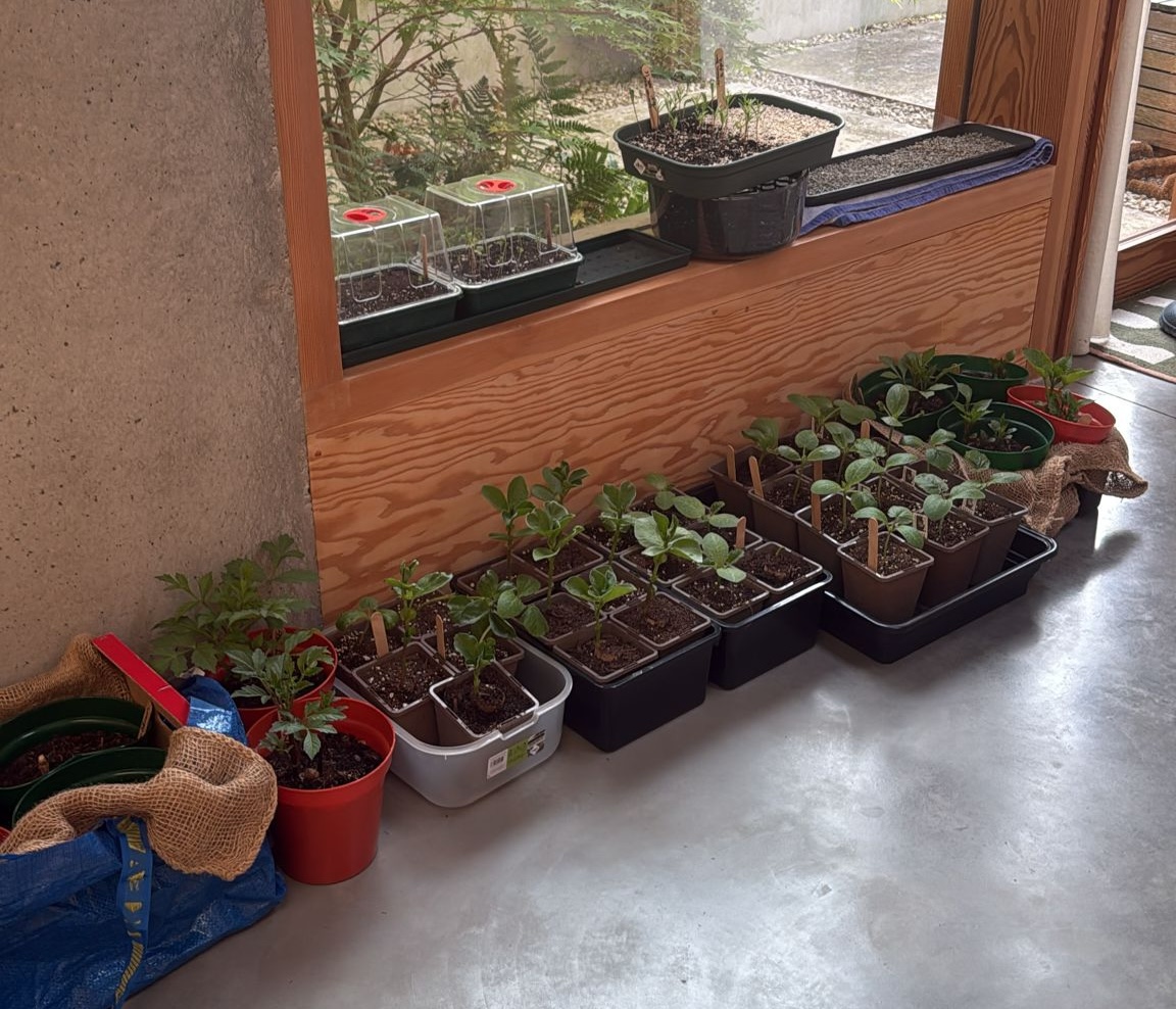 Pots at home...